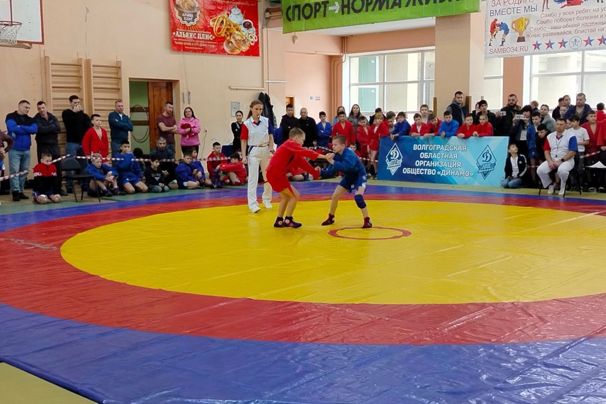 Партийцы поддержали Первенство Волгоградской области по самбо