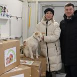 «Единая Россия» оказала помощь приюту для животных «Подарок судьбы»