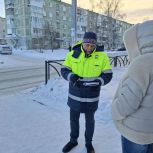 Партдесант проверил безопасность дорожной сети в Полевском