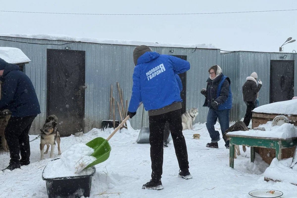 «Молодая Гвардия Единой России» помогла муниципальному приюту для животных «Право на жизнь»