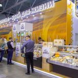 Партпроект «Выбирай своё» продолжает функционировать на Ставрополье