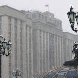 По инициативе «Единой России» в Госдуме создадут рабочую группу по борьбе с киберпреступностью