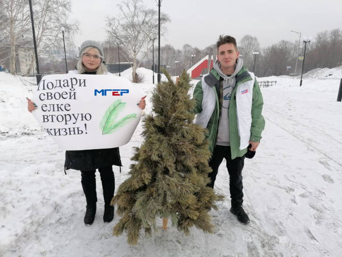 Молодогвардейцы Камчатки поддержали экологическую утилизацию новогодних елей