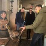 Краснодарские единороссы помогли приюту для животных «Зверье мое»