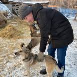 Партийный актив Снежинска помог приюту для собак