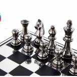 Члены «Единой России» поучаствовали в шахматном турнире