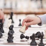 В Волгоградской области пройдёт шахматный всеобуч для учителей