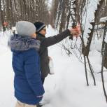 В Медведевском районе установили кормушки для зимующих птиц