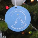 Всероссийская акция «Елка желаний» продолжает осуществлять мечты