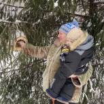 Активисты «Единой России» провели акцию «Кормим птиц зимой»
