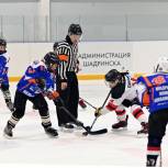 Валерий Порубов организовал турнир по хоккею на призы клуба «Золотая шайба»