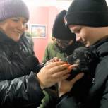 Учащиеся города Усинска побывали на дне открытых дверей в приюте для бездомных животных