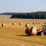 Владимир Ефимов: Предоставление грантов и субсидий на развитие сельхозпроизводства – действенная мера государственной поддержки аграриев