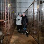 На Камчатке продолжает работать проект по борьбе с безнадзорностью животных «Защита животного мира» партии «Единая Россия»