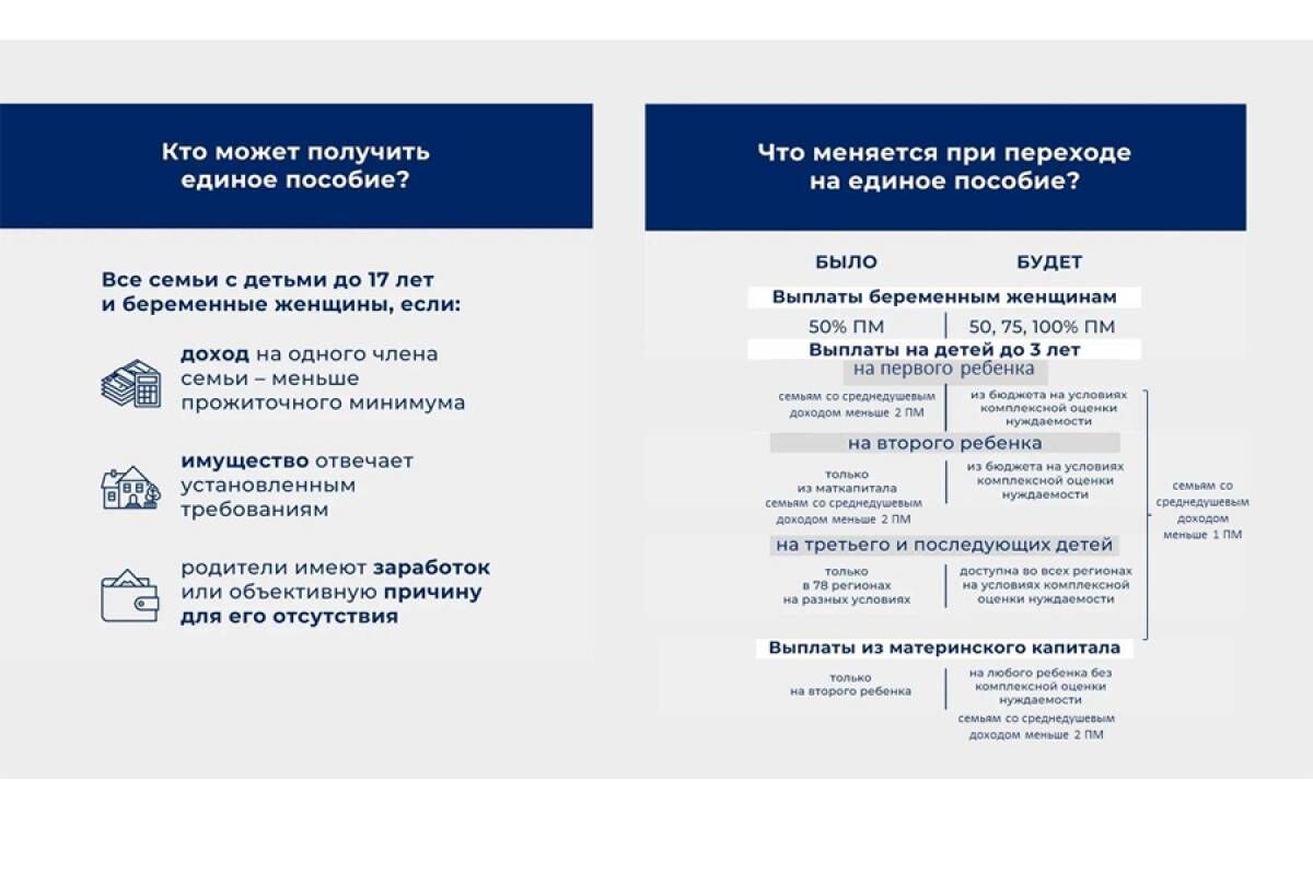 Установлено единое ежемесячное пособие в связи с рождением и воспитанием  детей для семей с низкими доходами