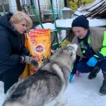 В рамках партпроекта «Защита животного мира» в Мурманской области депутаты поддержали приют для животных