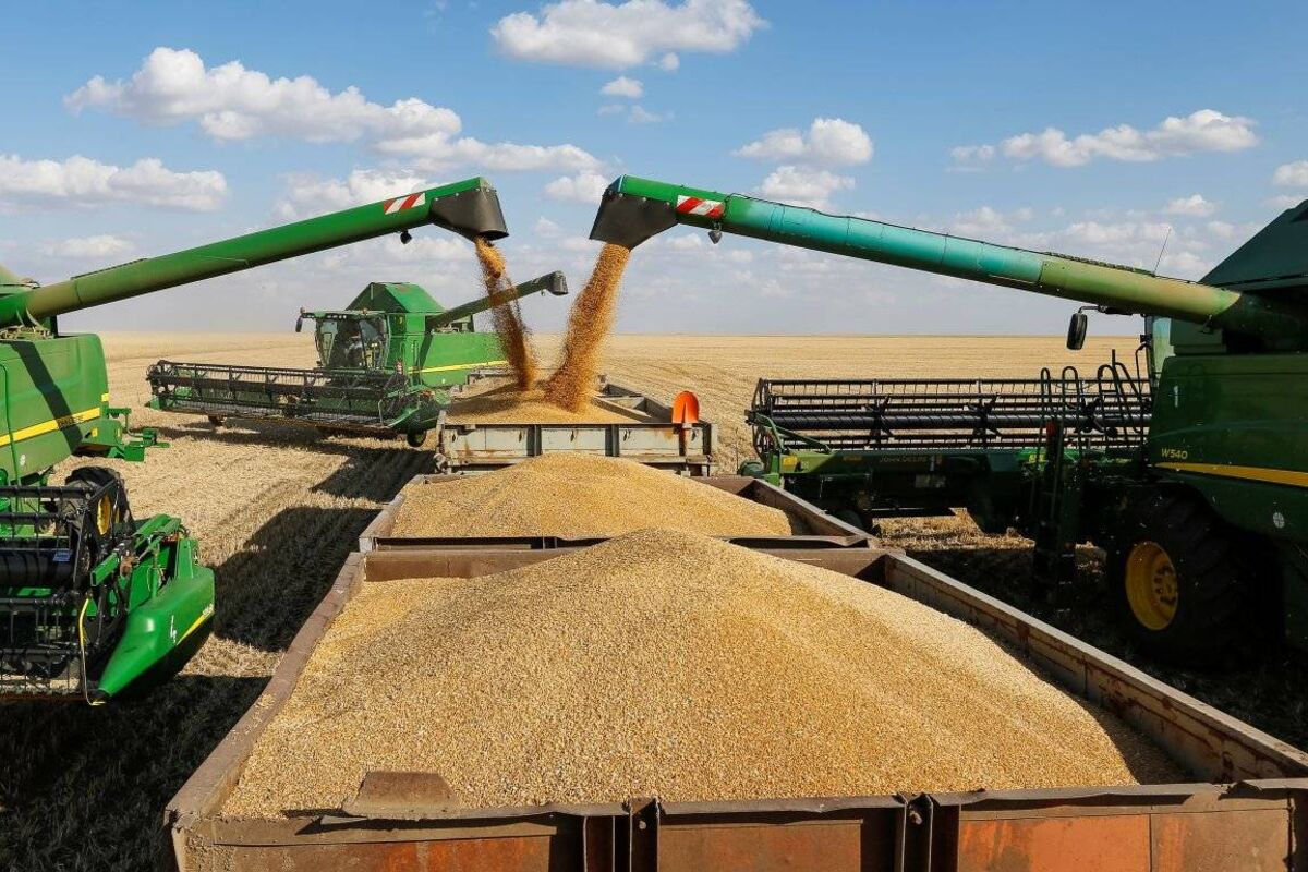 1 5 млн тонн. Уборка пшеницы. Комбайн молотит зерно. Уборка зерна. Обмолот пшеницы.