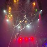 В Курском государственном цирке прошло заключительное представление новогодней программы «Новый год в Лукоморье»