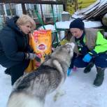 В Североморске депутаты оказали помощь приюту для животных «Надежда»