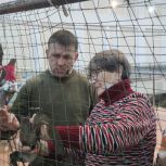 Депутаты горсовета присоединились к плетению масксетей для участников СВО