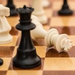 Команда Штаба общественной поддержки Псковской области приняла участие в шахматном турнире