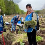 Нижегородская область стала самым активным регионом страны по результатам Всероссийской акции «Сохраним лес»