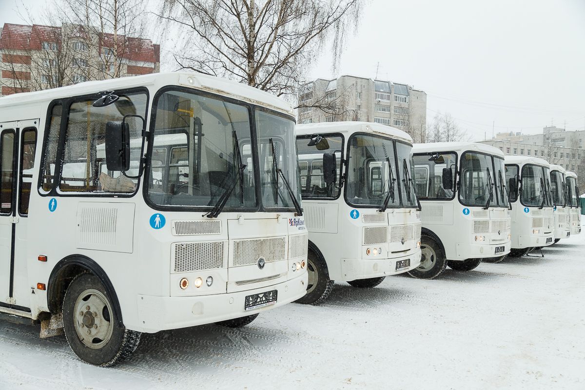 Владимир Уйба передал Печорскому району 6 новых пассажирских автобусов