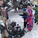 В Волгоградской области «Единая Россия» организовала акцию «Покормите птиц»
