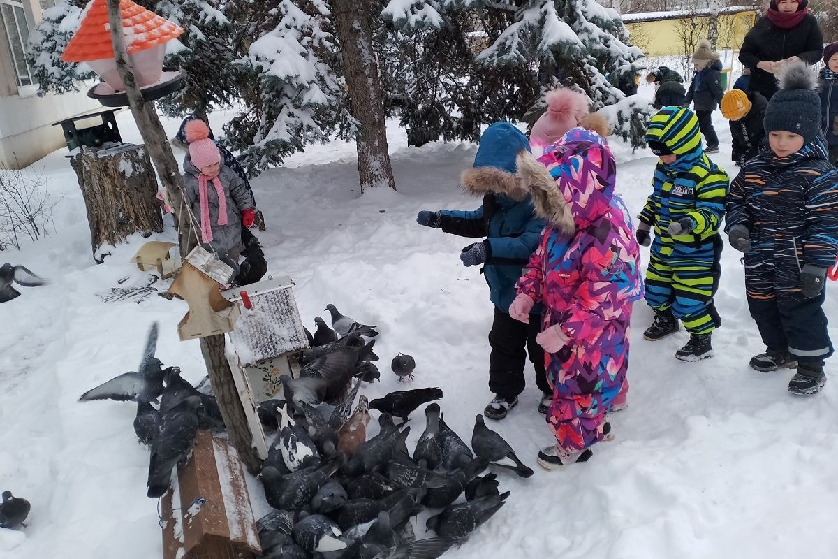 В Волгоградской области «Единая Россия» организовала акцию «Покормите птиц»