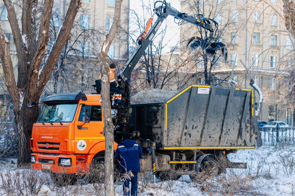 В сквере Металлургов Магнитогорска проводятся плановые работы по  омолаживающей обрезке вязов и клёнов