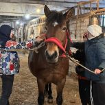 Александр Козловский осуществил мечту юной печерянки