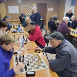 Московские единороссы организовали шахматный турнир для жителей Новогиреева