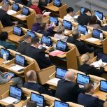Госдума приняла в первом чтении инициированные «Единой Россией» законопроекты о противодействии треш-стримам