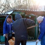 Активисты «Единой России» оказали помощь тульскому приюту для бездомных животных