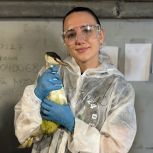 Секретарь Батайской «первички» «Единой России» Кристина Черныш в третий раз помогает очищать побережье Анапы от нефтепродуктов
