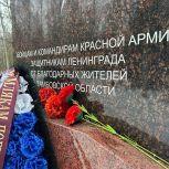 Тамбовские молодогвардейцы возложили цветы к мемориалу защитникам Ленинграда «Синявинские высоты»