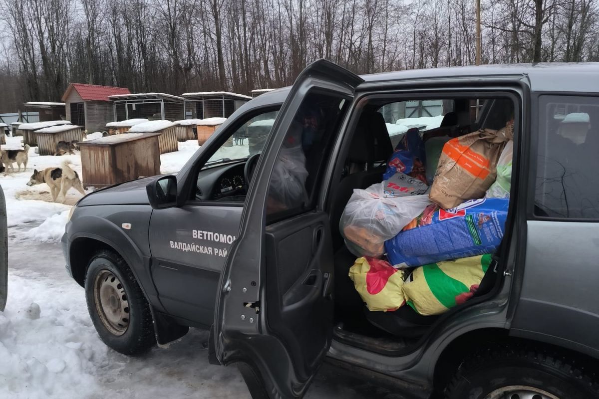 «Единая Россия» передала шести приютам для животных в Новгородской области около двух тонн кормов