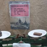 Единороссы Октябрьского района возложили цветы к вечному огню