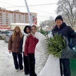 Новогодние ёлки - в «дЕльный круговорот»: вологодские единороссы поддержали экологическую акцию