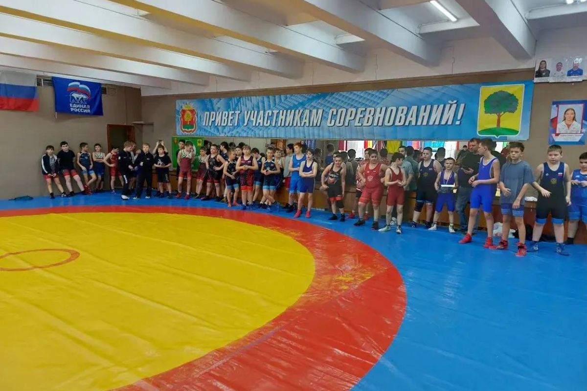«Единая Россия» поддержала первенство по греко-римской борьбе в Липецке