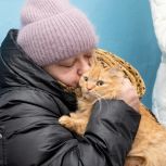 С заботой о братьях наших меньших