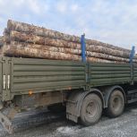 Активисты местных отделений «Единой России» направили гуманитарную помощь и древесину на фронт