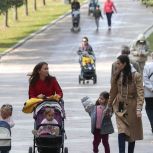 «Единая Россия» законодательно обеспечит гибкий подход к выплате единого пособия для многодетных семей