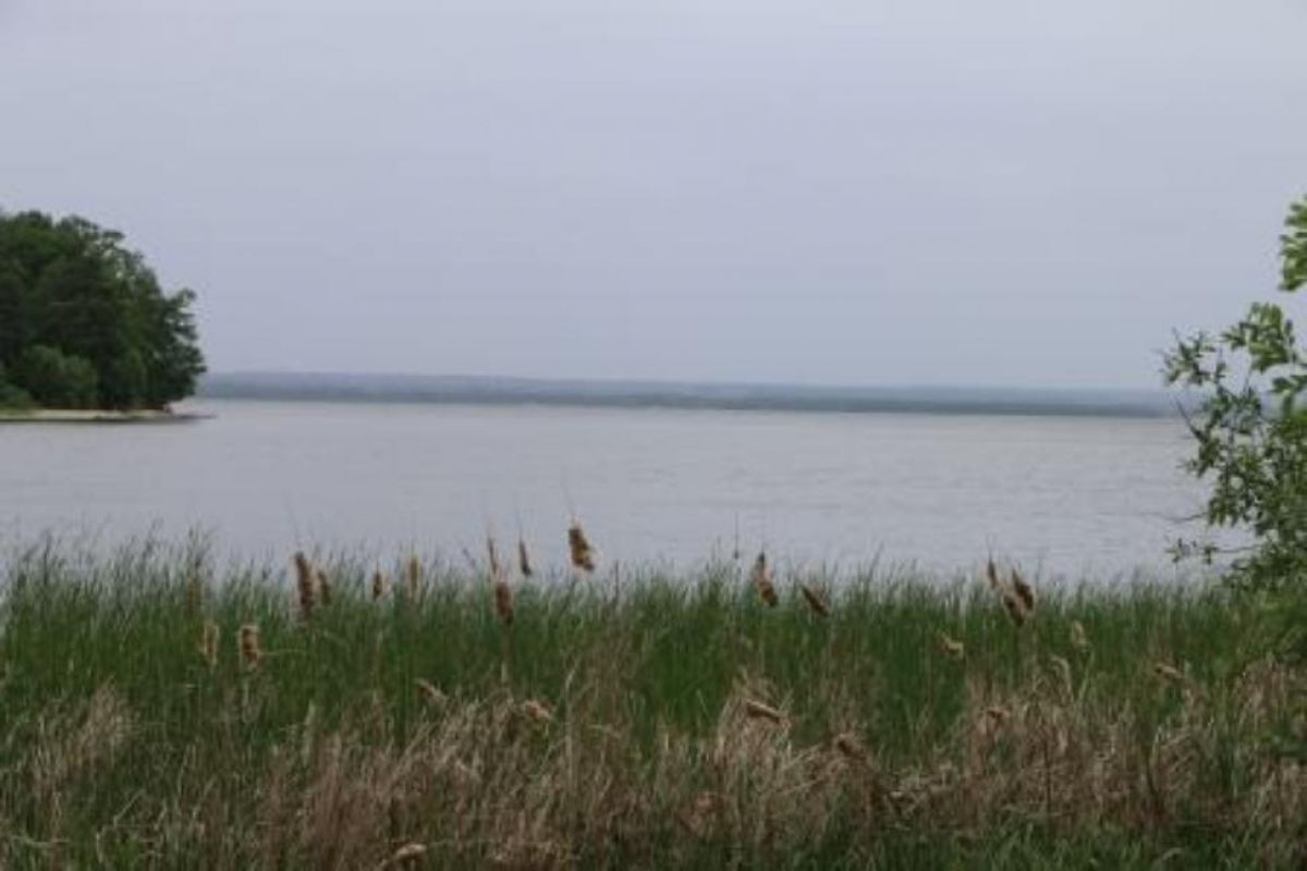 В рамках партпроекта «Чистая страна» Пензенская область присоединилась к проекту «Водорослям крышка. Амбассадоры рек»