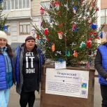 Новогодняя елка Опаринского округа стала призером областного конкурса елей
