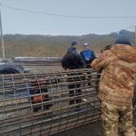 Жилой дом, детский сад, общественные пространства: «Единая Россия» оценила ход работ и состояние объектов народной программы