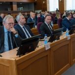 По инициативе «Единой России» в Амурской области матери-героини смогут бесплатно получить земельный участок