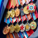 В столице учредили памятный нагрудный знак «85 лет битвы за Москву»