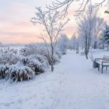 На всероссийский фотоконкурс «Единой России» о результатах народной программы партии поступило почти 250 работ
