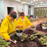 Юных новоуренгойцев учат ухаживать за комнатными растениями